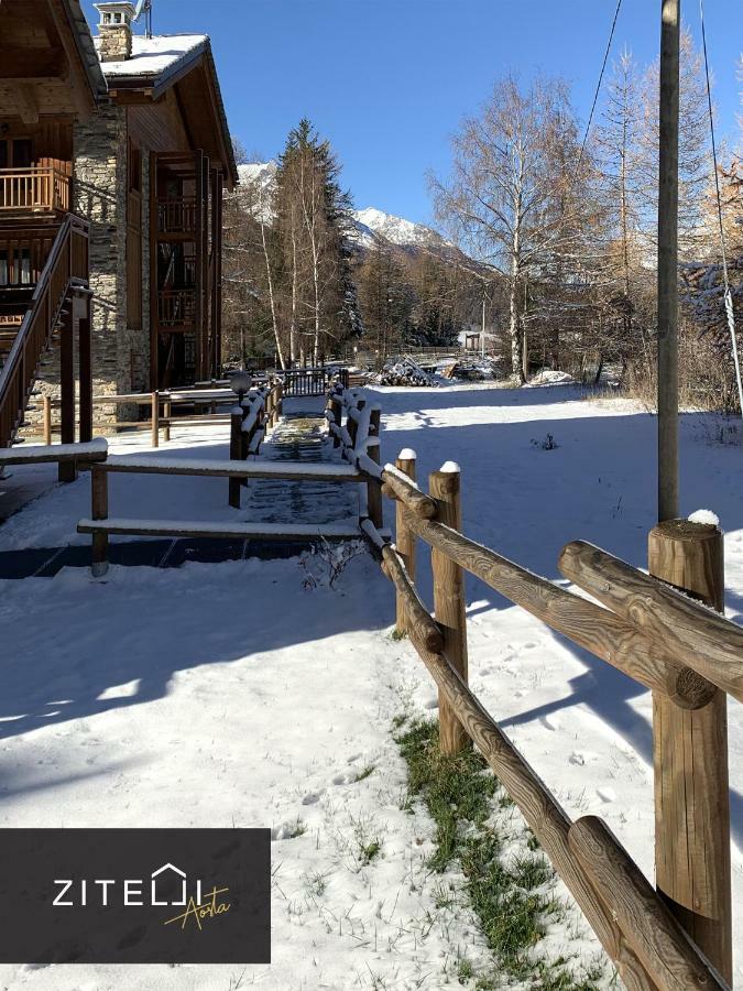 Zitelli Aosta Villa Cogne Eksteriør billede