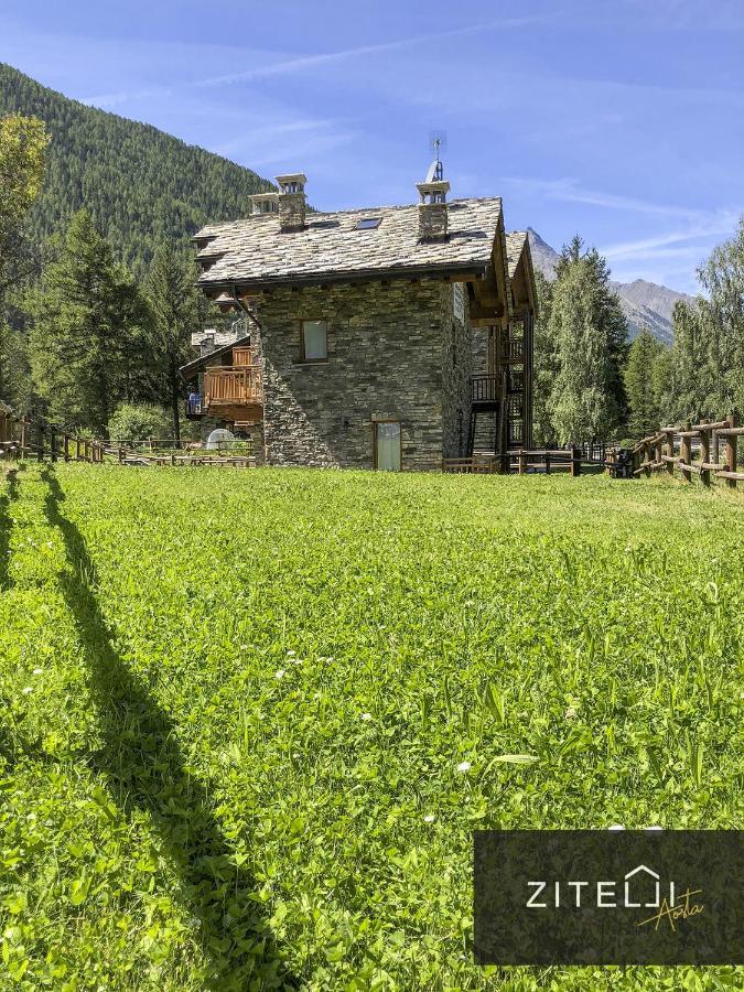 Zitelli Aosta Villa Cogne Eksteriør billede